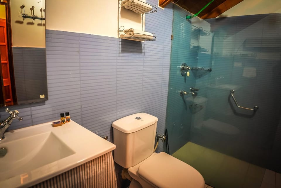 Shower, Toilet, Bathroom, bidet