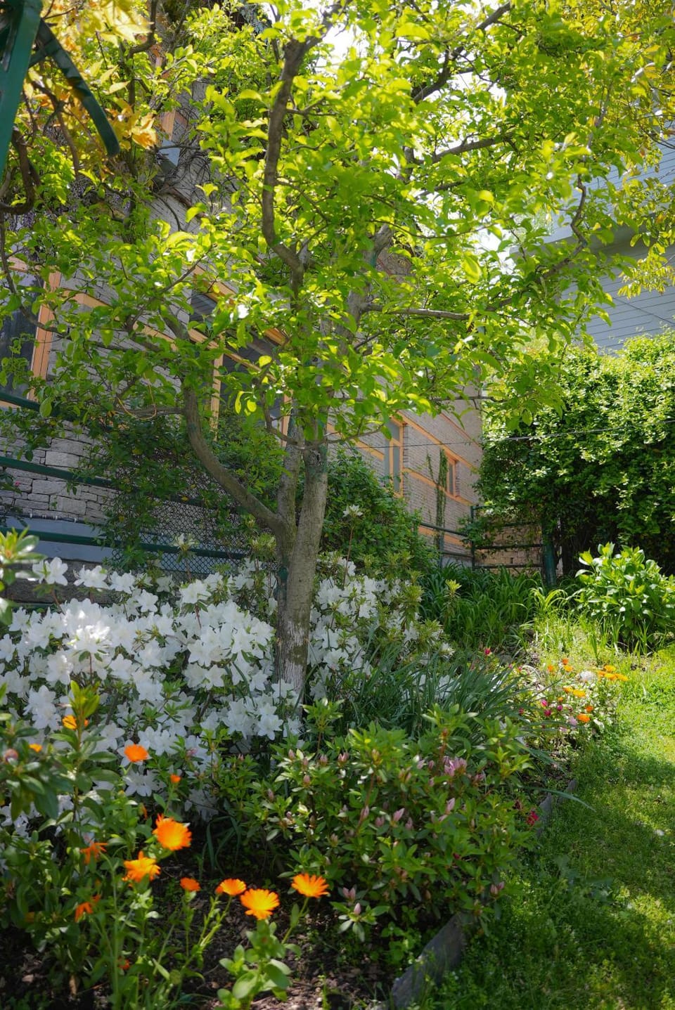 Day, Garden, Garden view