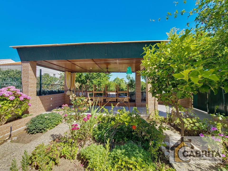 Patio, Garden, Garden view