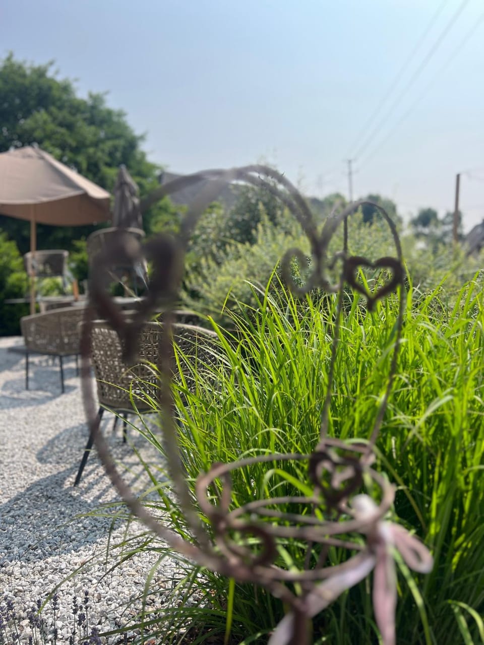Garden, View (from property/room), Garden view