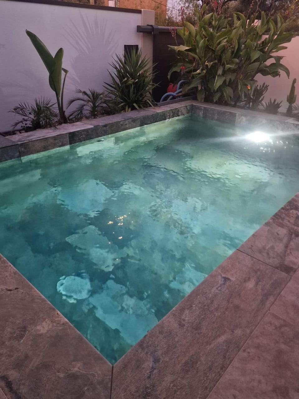 Swimming pool