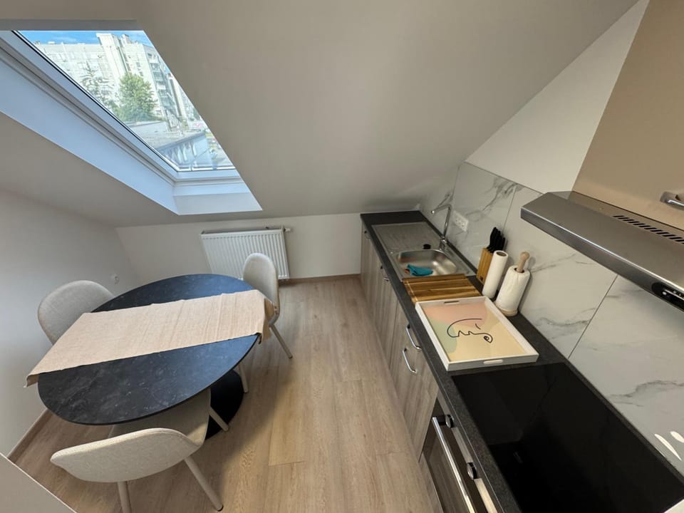 Kitchen or kitchenette, Kitchen or kitchenette, Dining area, oven