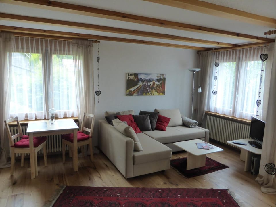 Communal lounge/ TV room, Living room