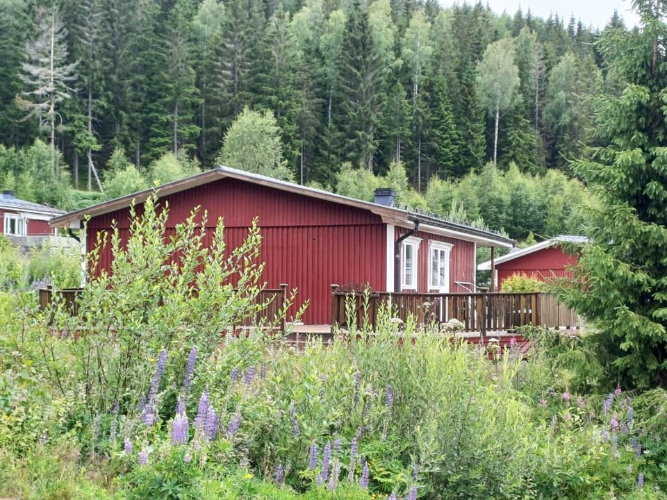 Property building, Spring, Day, Natural landscape, View (from property/room), On site