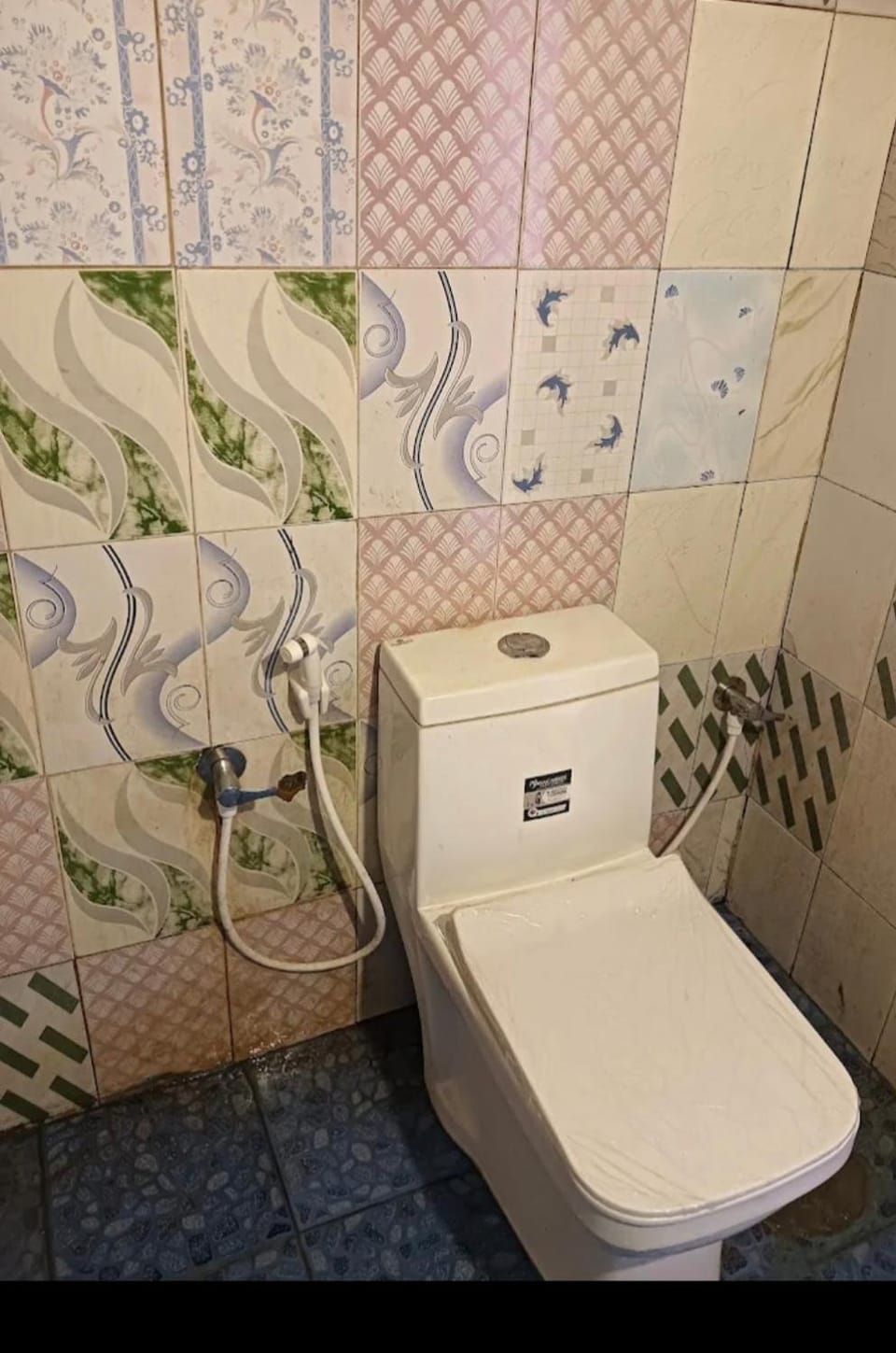 Paradise beach homestay Apartment in Alappuzha