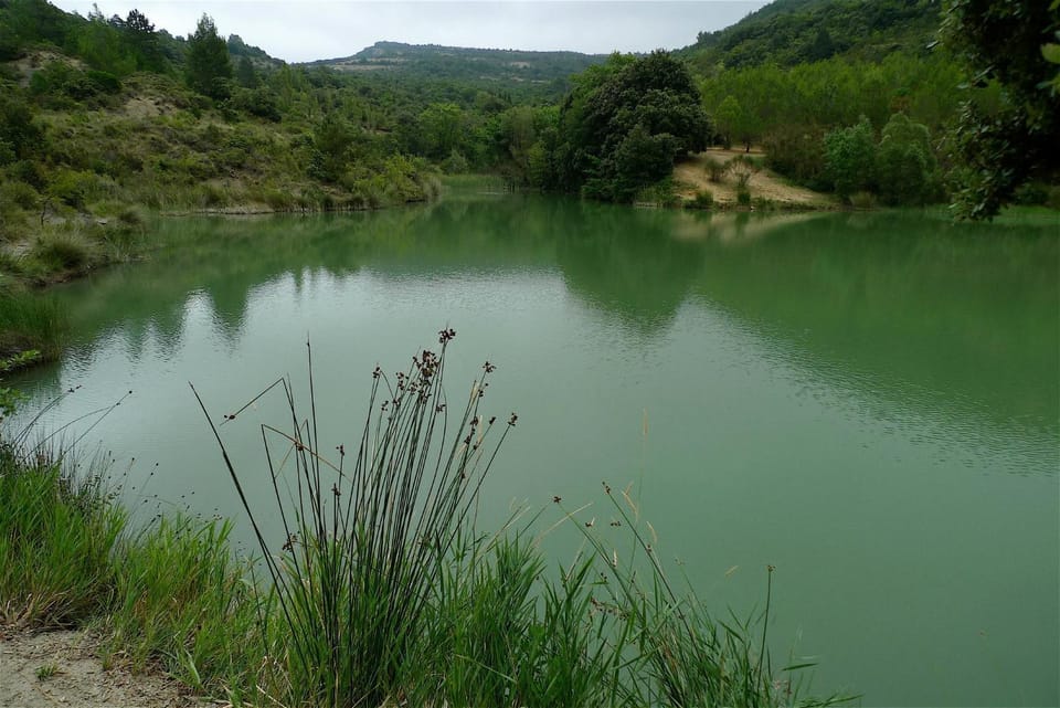 Lake view