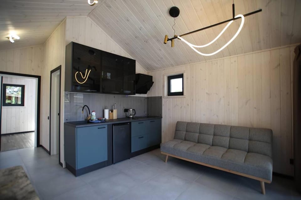 Coffee/tea facilities, Kitchen or kitchenette, Living room, Seating area, minibar