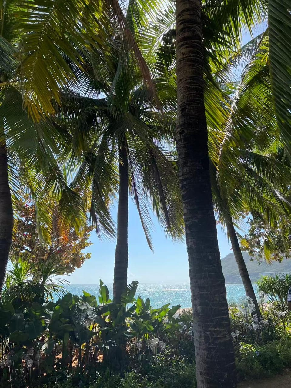 Natural landscape, Sea view