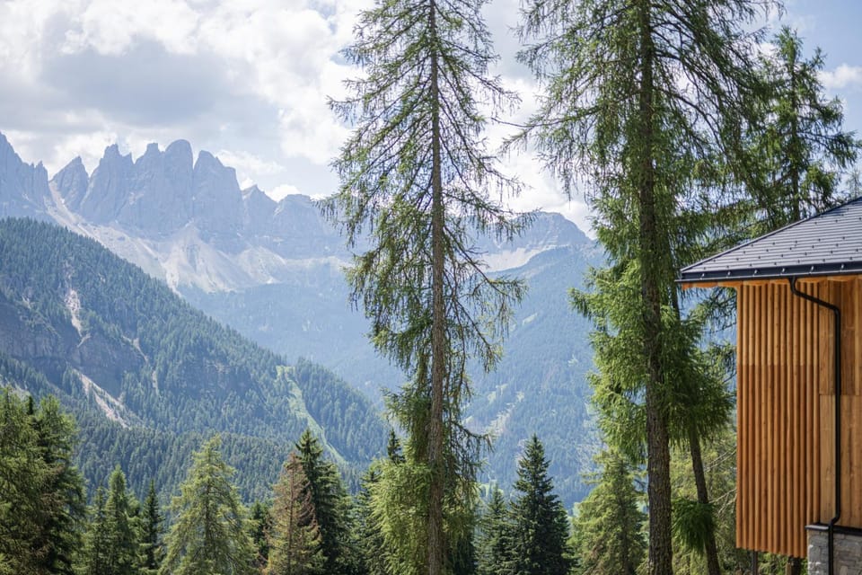 Natural landscape, Summer, Mountain view