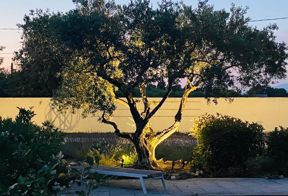 Garden, Garden view