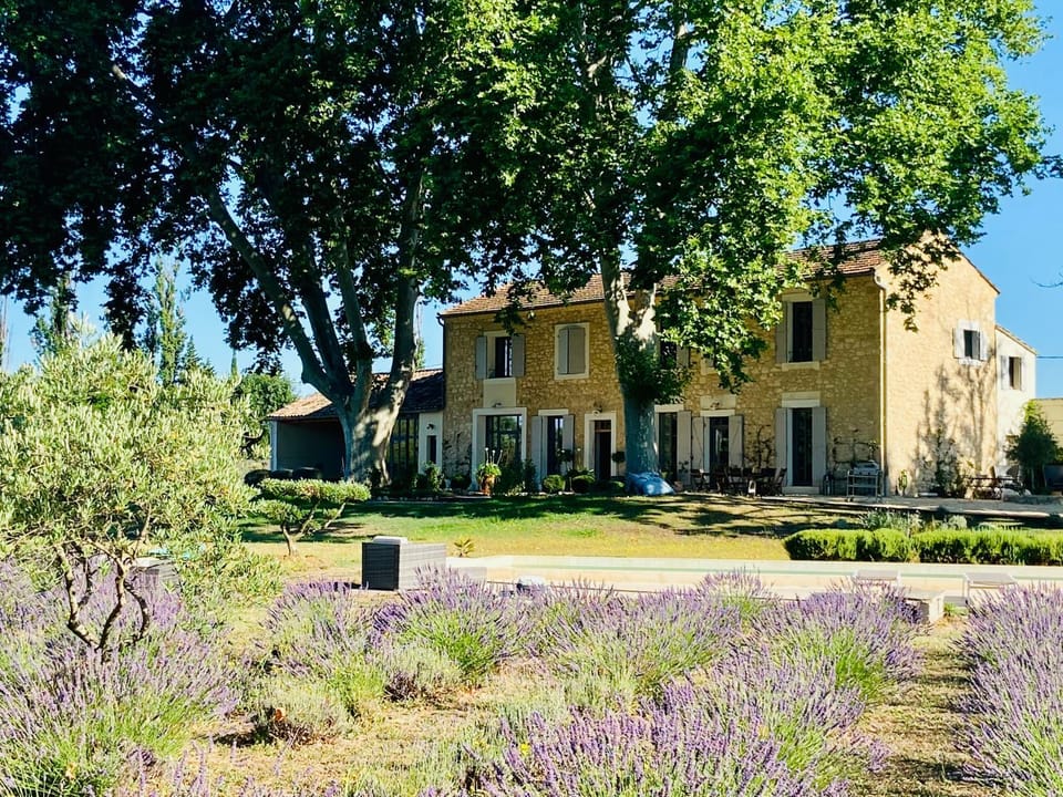 Property building, Natural landscape, Garden