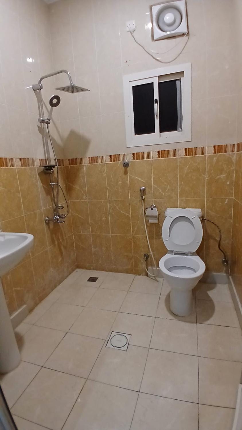 Shower, Toilet, Bathroom, bidet