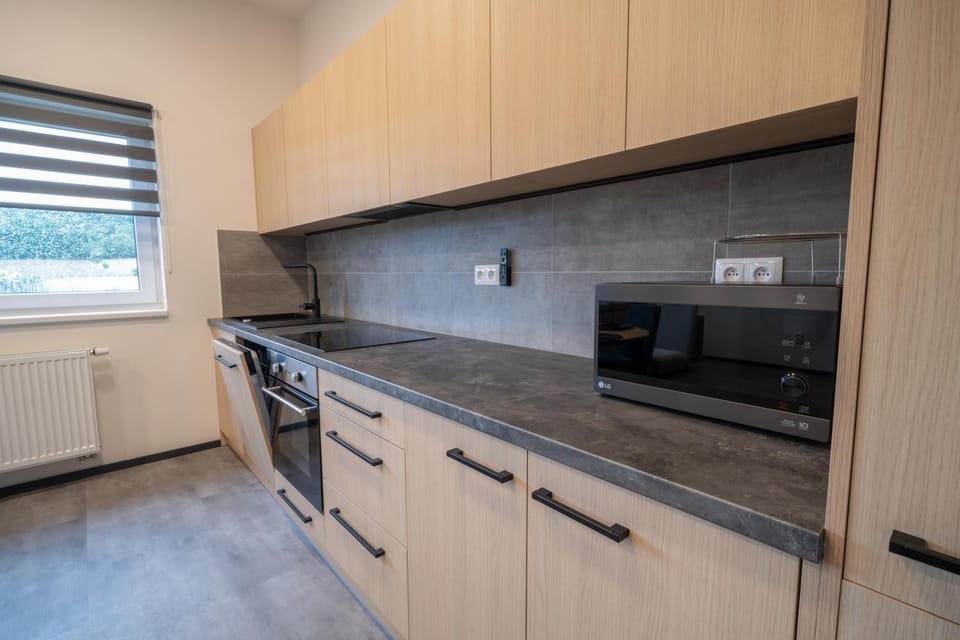 Kitchen or kitchenette, dishwasher, stove