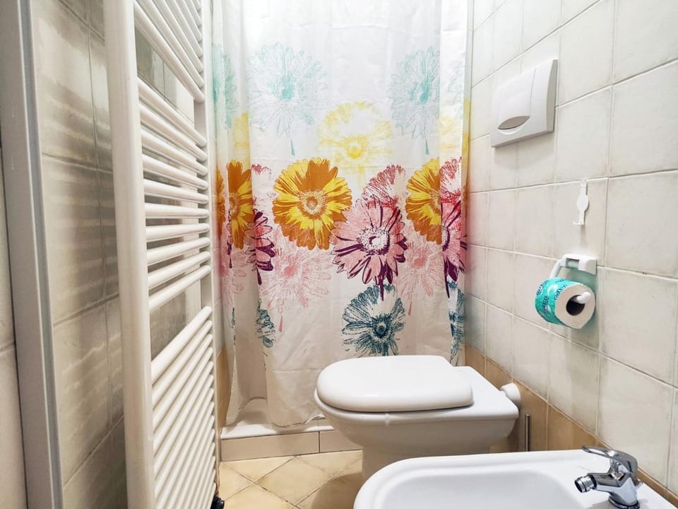 Shower, Toilet, Bathroom, bidet