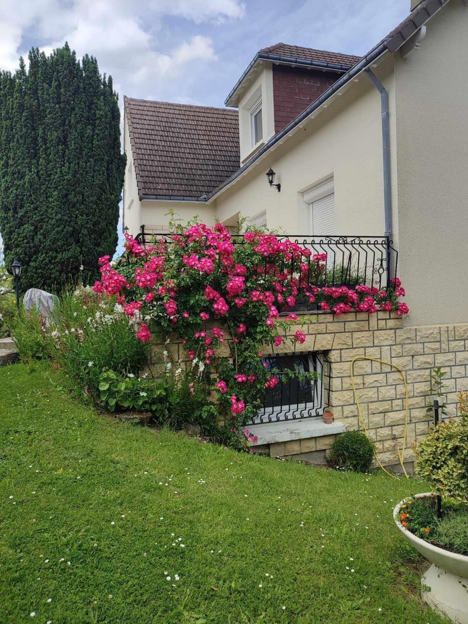 Patio, Facade/entrance, Garden