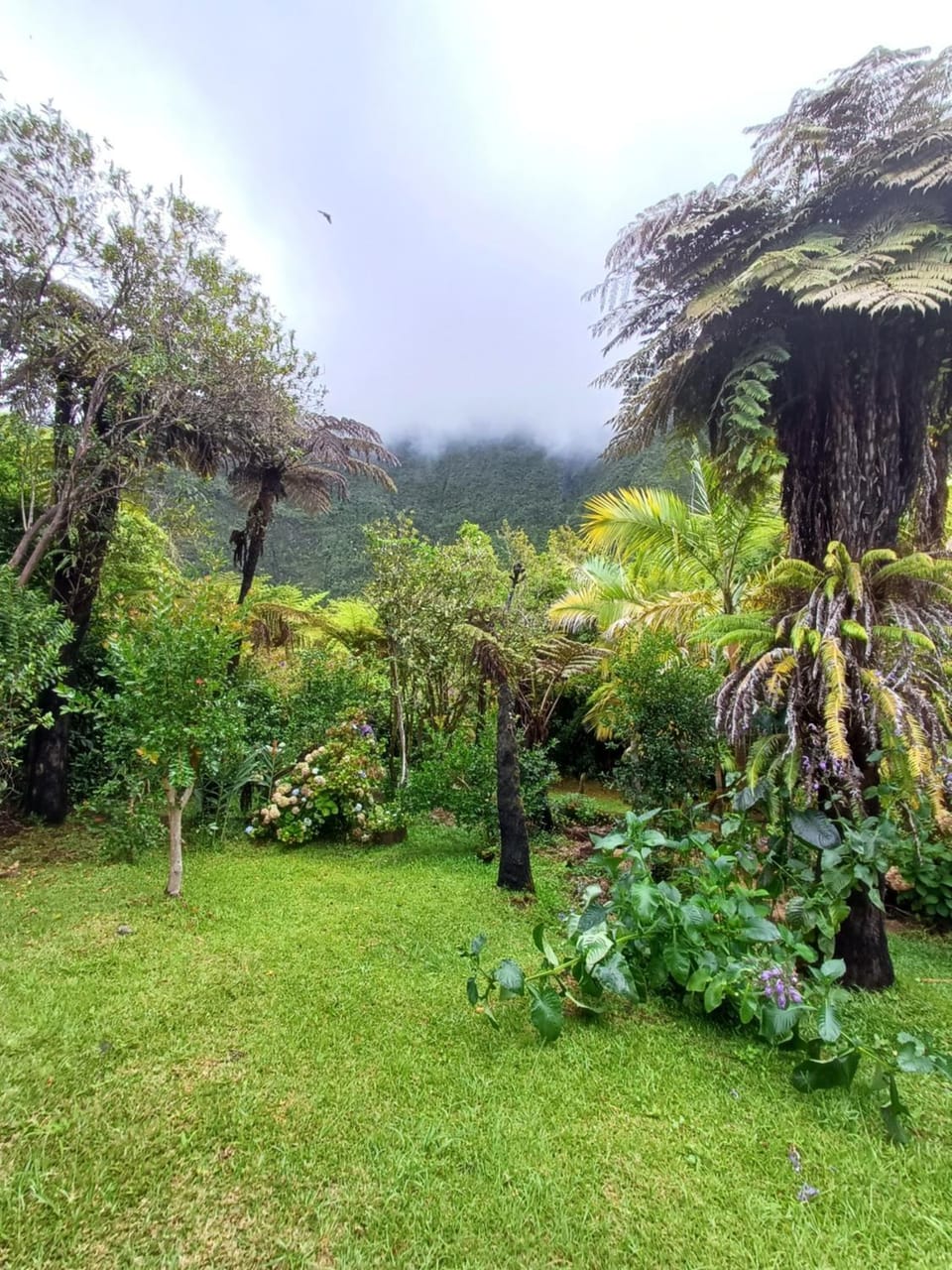 Chalet Little Zion au Domaine de Baradoz House in Réunion