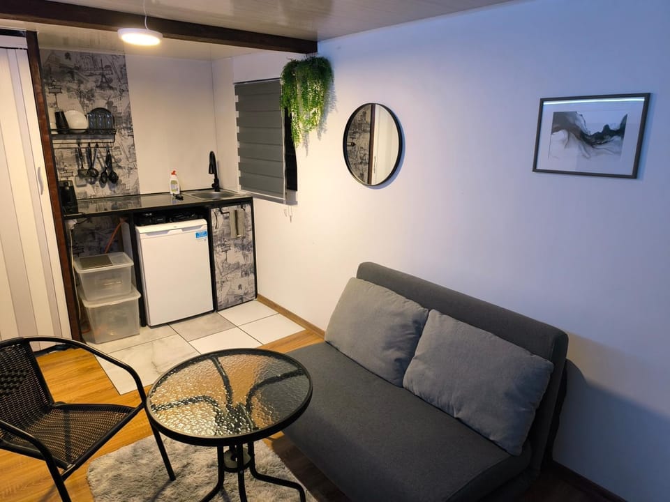 Apartment with private terrace and sound system UNDER THE JASMINE Apartment in Palanga