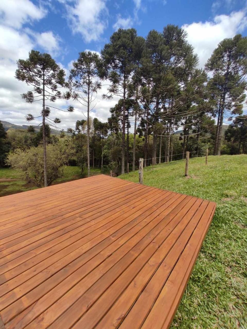 Day, Natural landscape, Garden, Garden view