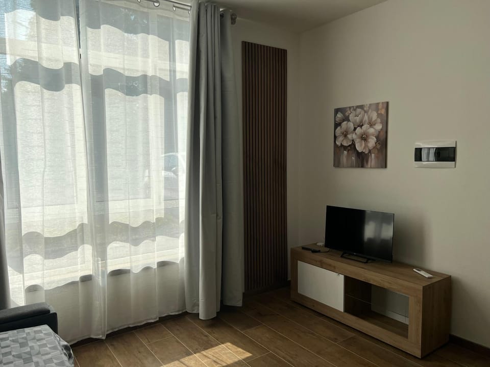 TV and multimedia