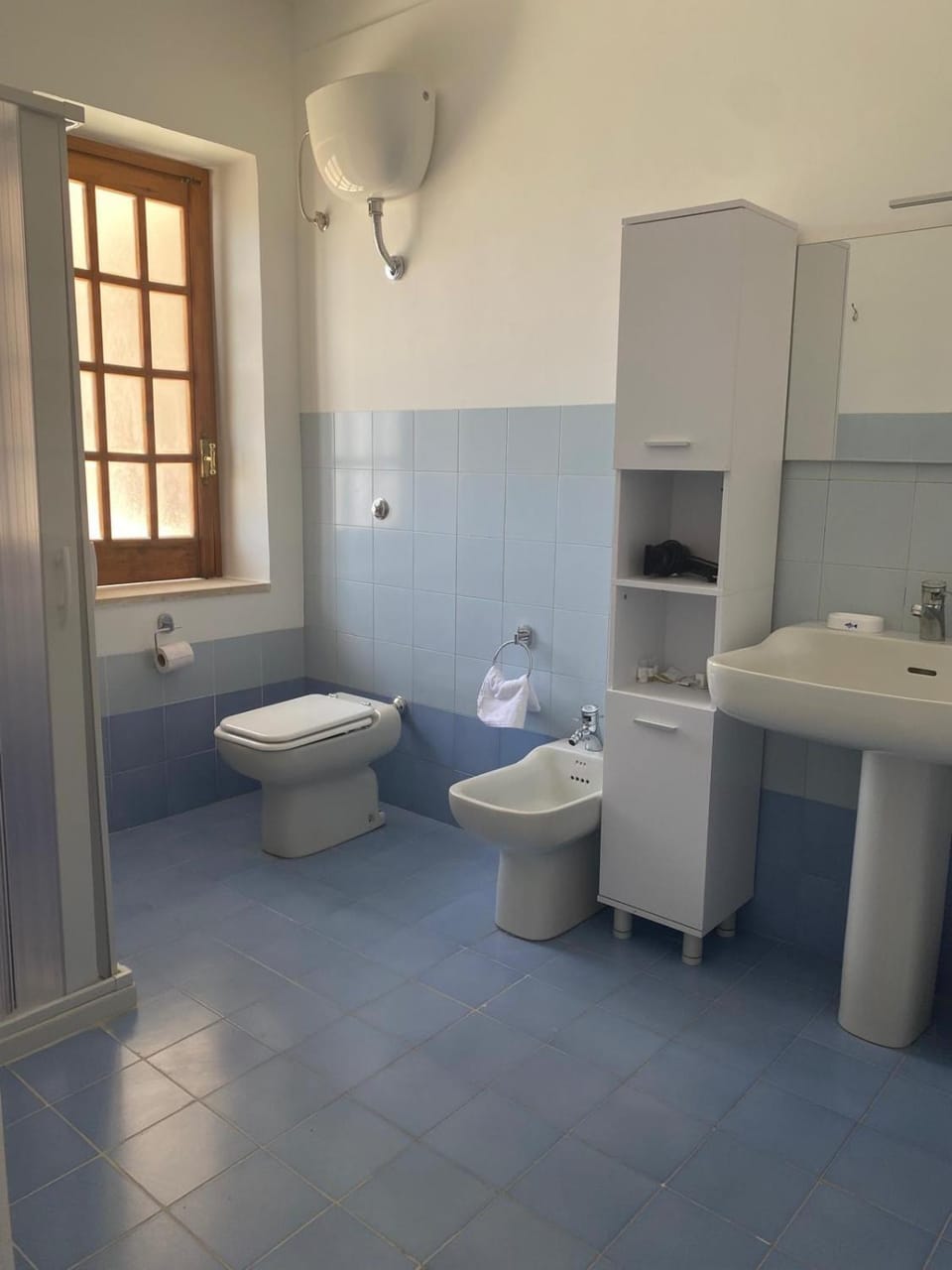 Shower, Bathroom, bidet