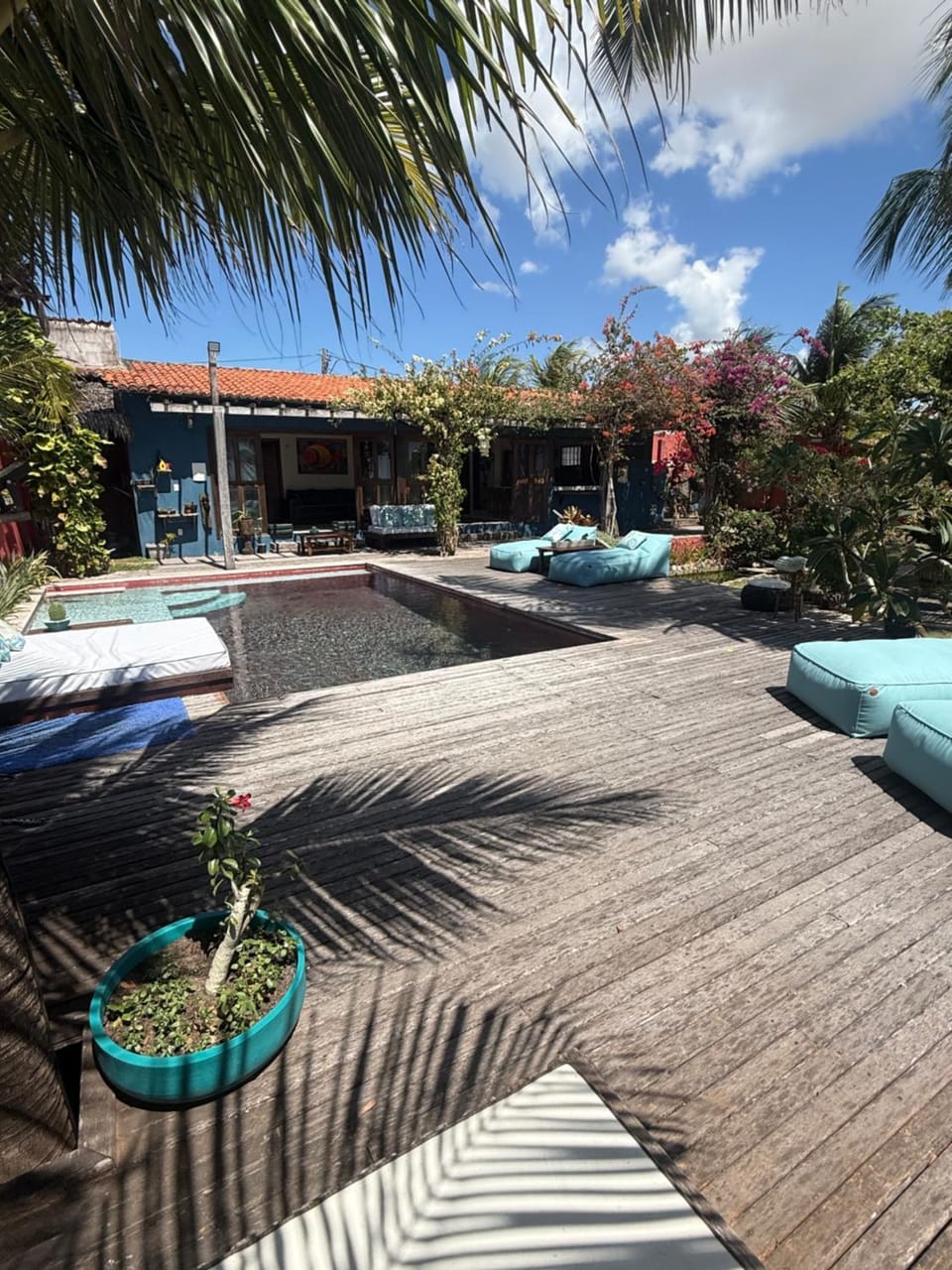 Garden, Garden view, Pool view, Swimming pool, sunbed