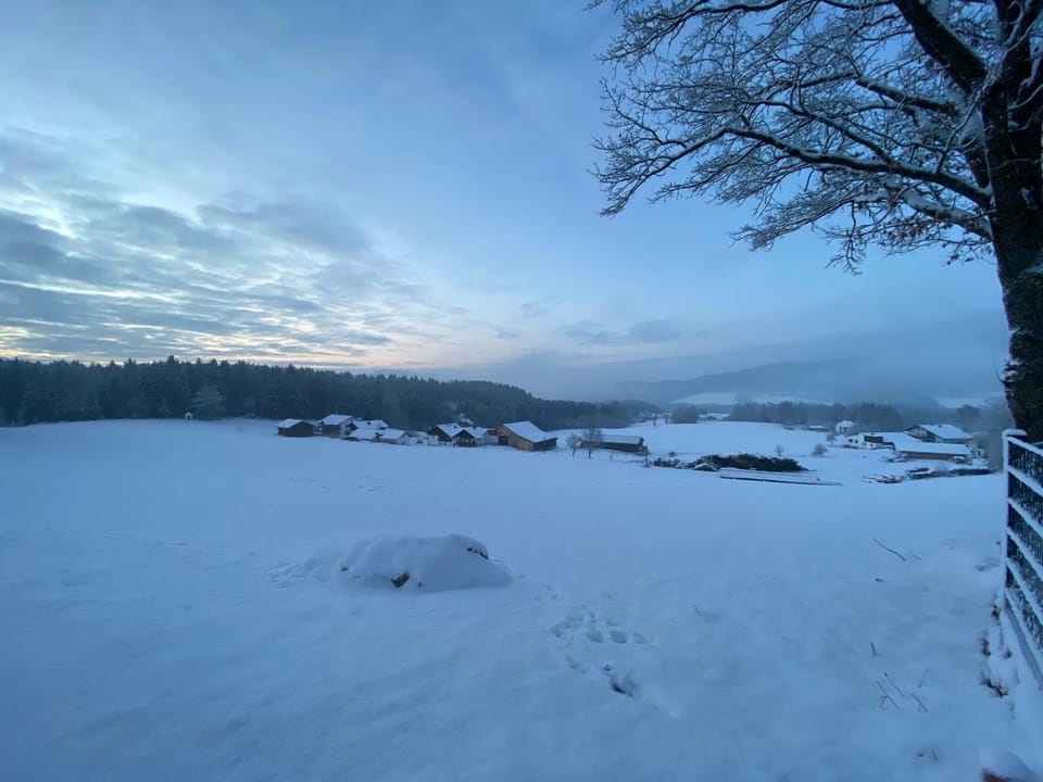 Winter