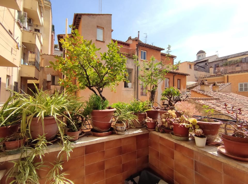 Balcony/Terrace, Balcony/Terrace