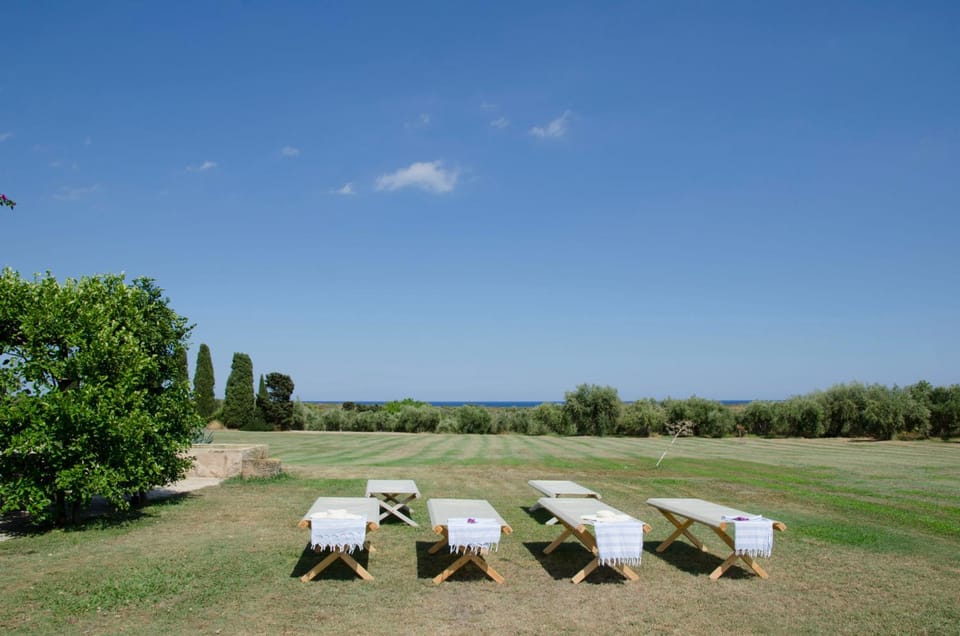 Day, Natural landscape, sunbed