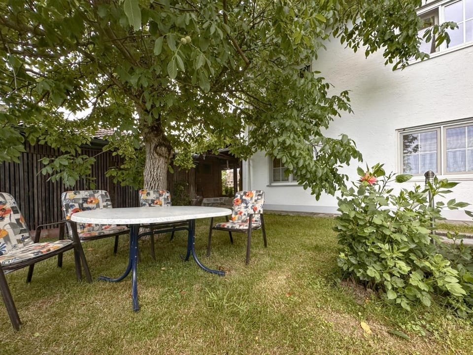 Summer, Garden