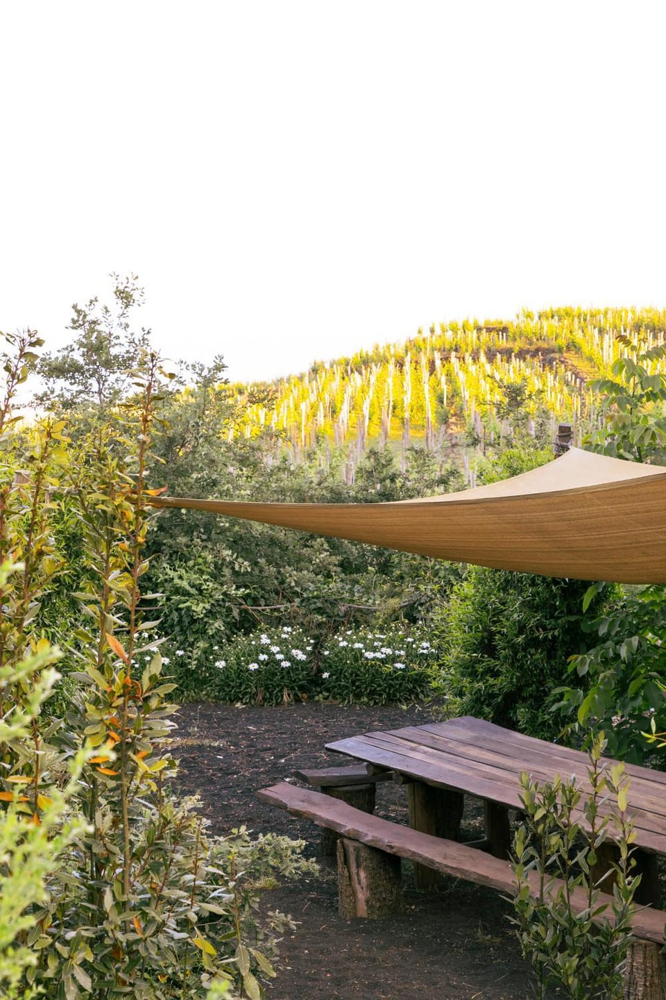 Garden view