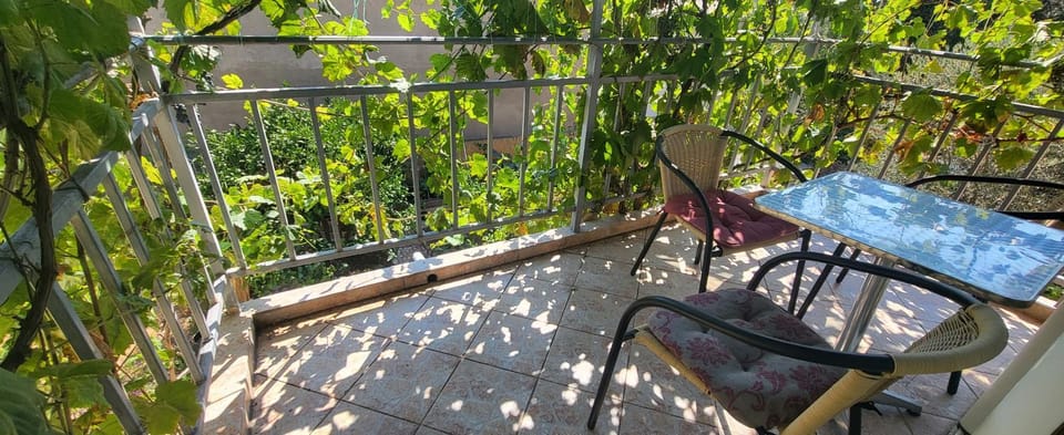 Balcony/Terrace, Garden view