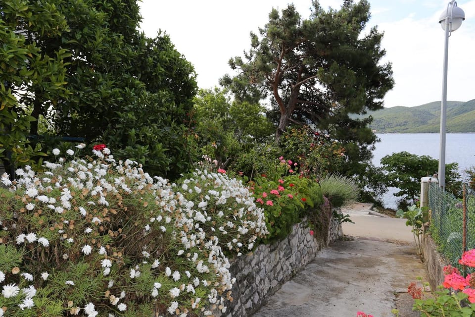 Location, children, Family