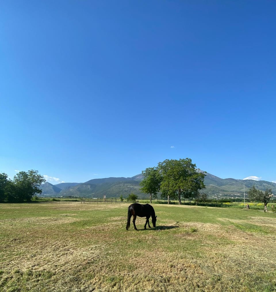View (from property/room), Mountain view
