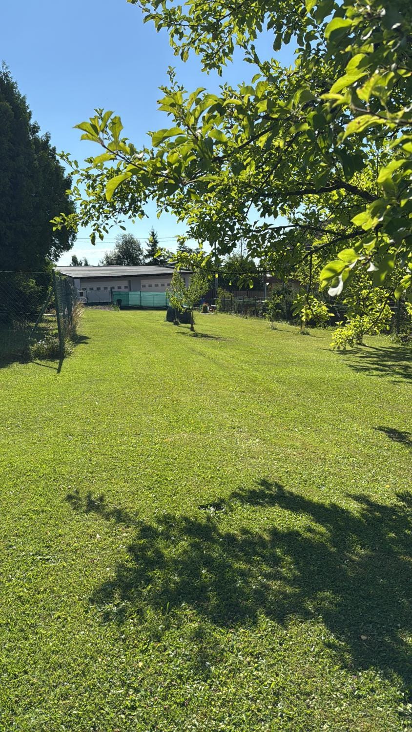 Natural landscape, Garden, Garden view
