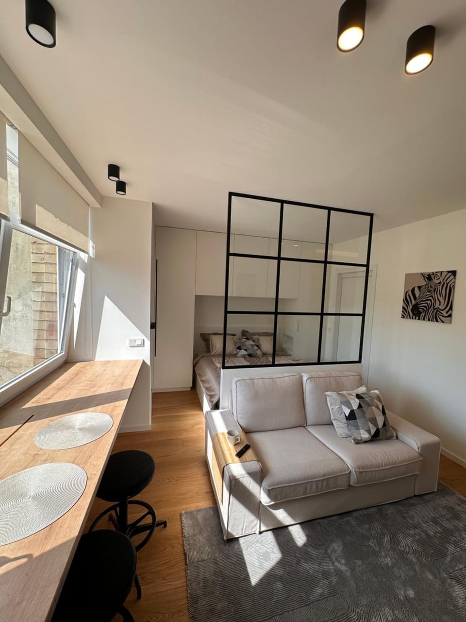 Algirdo Sunlight Studio Apartment in Vilnius
