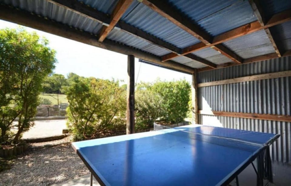 Table tennis