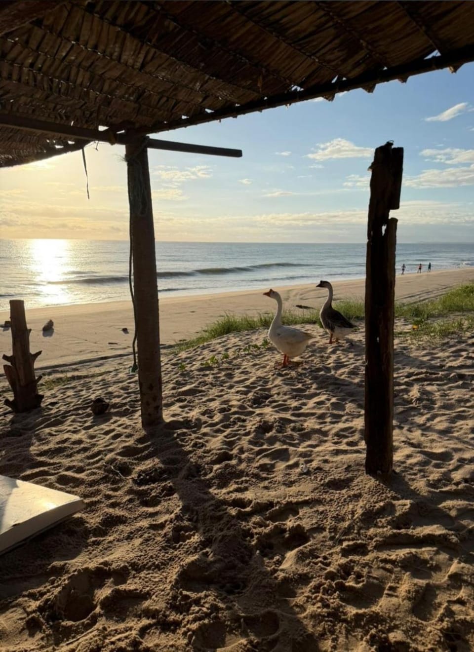 Vieira Mar jorlandia House in State of Ceará