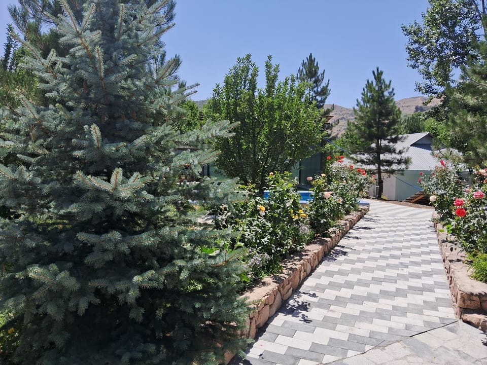 Chimgan Mountain in nature Apartment in Europe