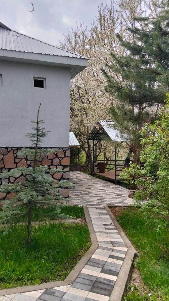 Chimgan Mountain in nature Apartment in Europe