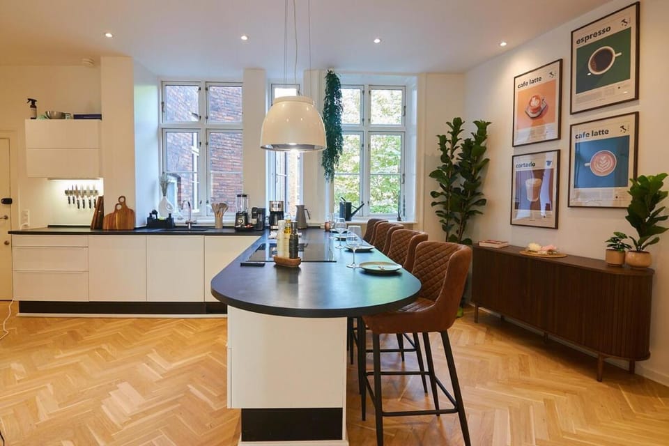 Huge Royal Luxury Apt with Private Balcony Apartment in Copenhagen