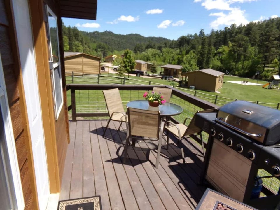 The Little Pine House in Keystone