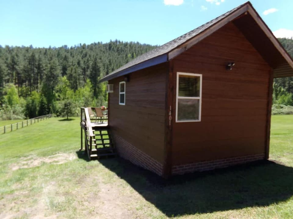 The Little Pine House in Keystone