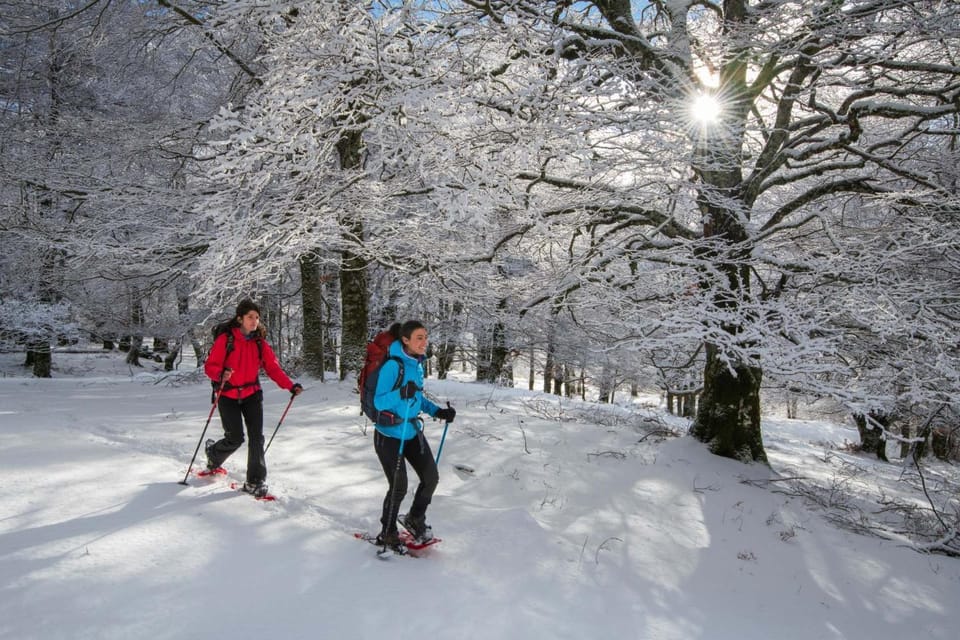Nearby landmark, Activities, Winter, Hiking