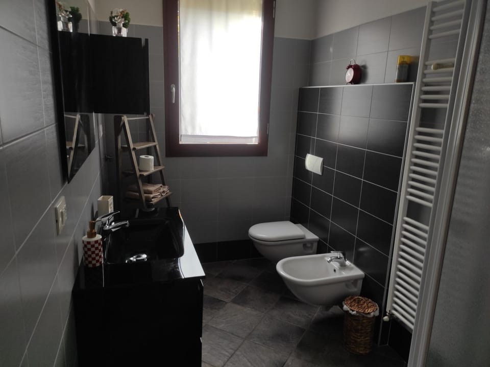 Shower, Toilet, Bathroom, bidet