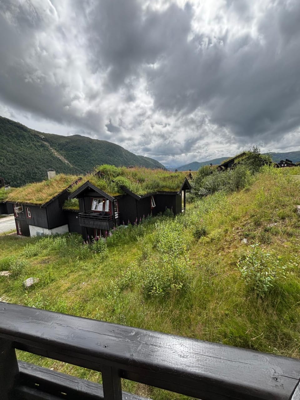 Natural landscape