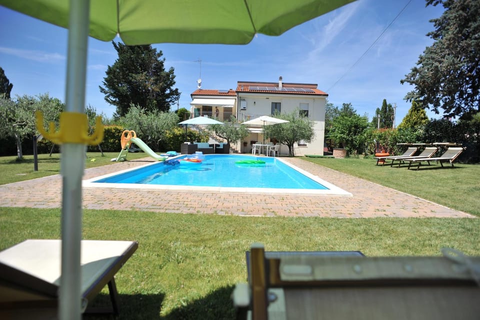 Garden, Swimming pool, sunbed