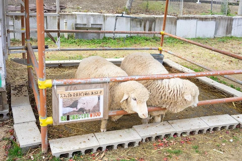 ヴィラリバーサイド House in Japan