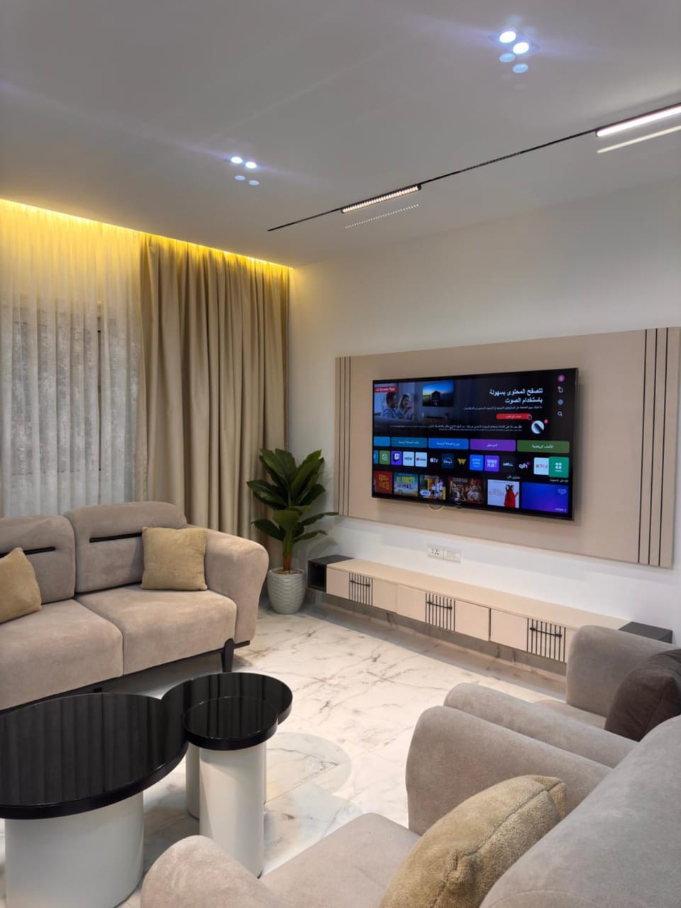 TV and multimedia