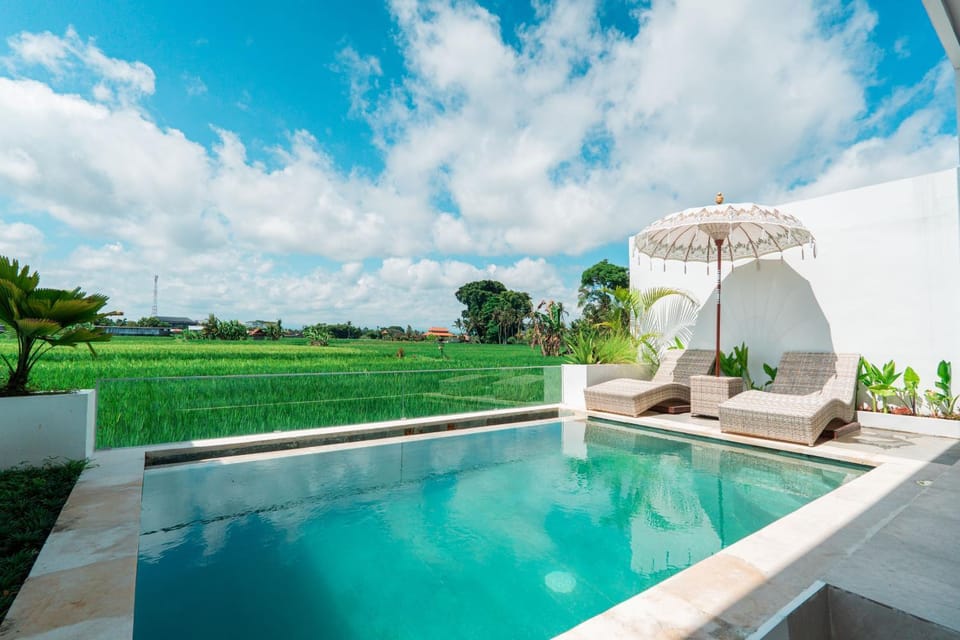Patio, Day, Garden, Garden view, Pool view, Swimming pool, sunbed