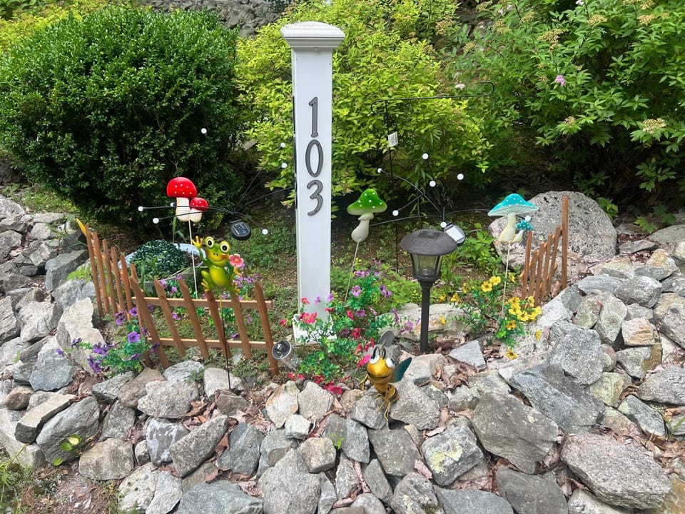 Spring, Garden, Garden view